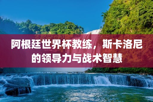阿根廷世界杯教练，斯卡洛尼的领导力与战术智慧