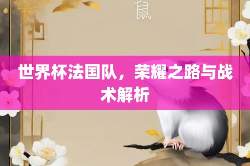 世界杯法国队，荣耀之路与战术解析