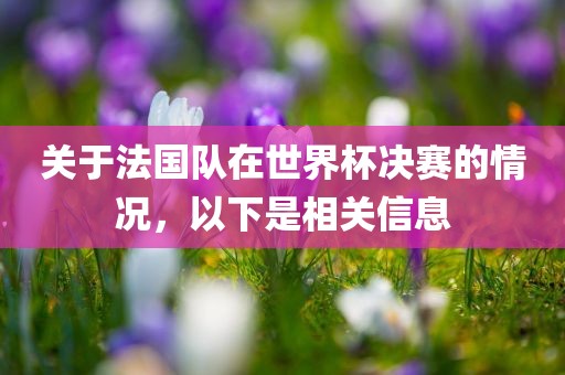 关于法国队在世界杯决赛的情况，以下是相关信息
