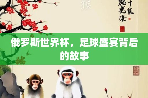 俄罗斯世界杯，足球盛宴背后的故事