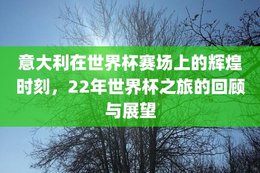 意大利在世界杯赛场上的辉煌时刻，22年世界杯之旅的回顾与展望