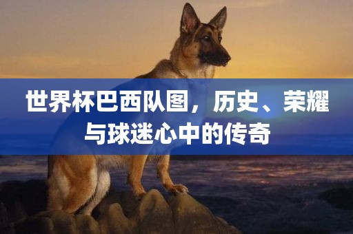 世界杯巴西队图，历史、荣耀与球迷心中的传奇