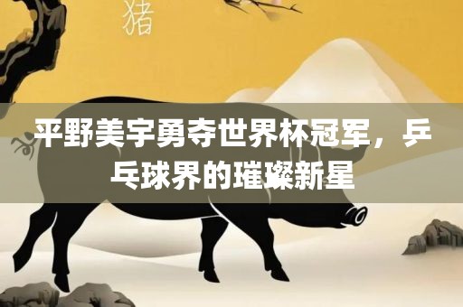 平野美宇勇夺世界杯冠军，乒乓球界的璀璨新星