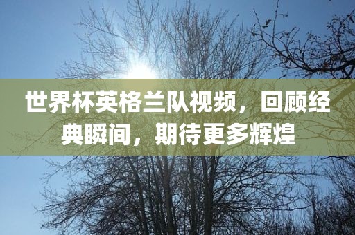 世界杯英格兰队视频，回顾经典瞬间，期待更多辉煌眉山市正发家政服务有限公司