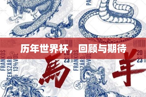 历年世界杯，回顾与期待眉山市正发家政服务有限公司