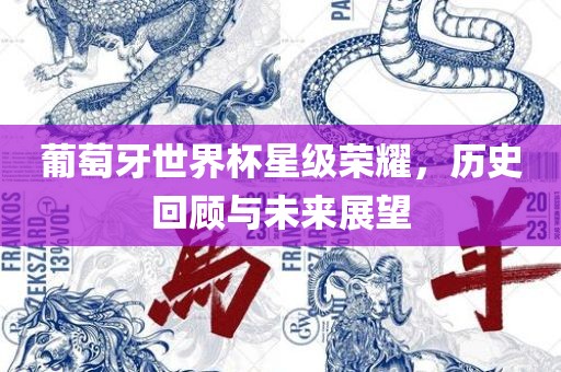 葡萄牙世界杯星级荣耀，历史回顾与未来展望