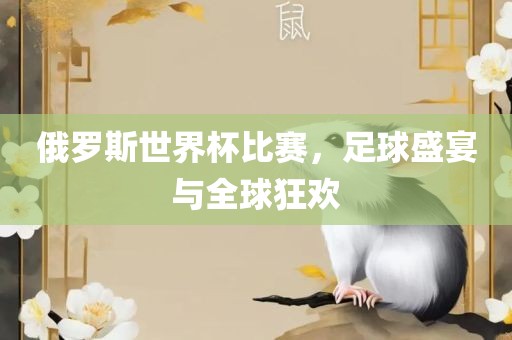 俄罗斯世界杯比赛，足球盛宴与全球狂欢