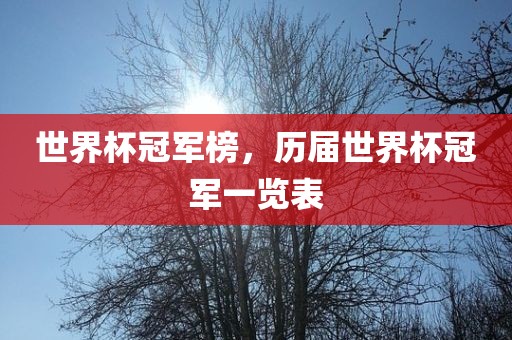 世界杯冠军榜，历届世界杯冠军一览表眉山市正发家政服务有限公司