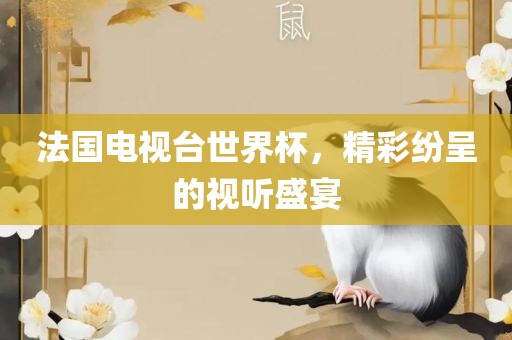 视听盛宴