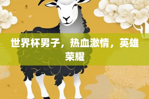 世界杯男子，热血激情，英雄荣耀