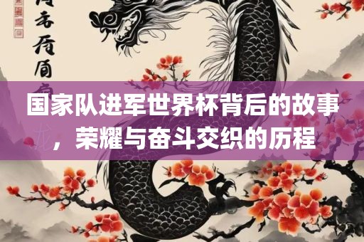 眉山市正发家政服务有限公司国家队进军世界杯背后的故事，荣耀与奋斗交织的历程