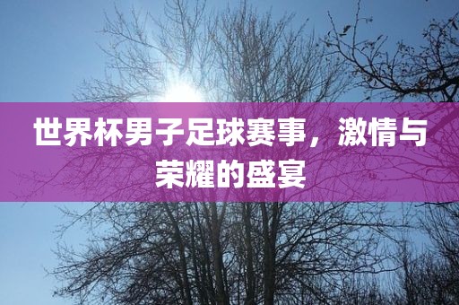 世界杯男子足球赛事，激情与荣耀的盛宴眉山市正发家政服务有限公司