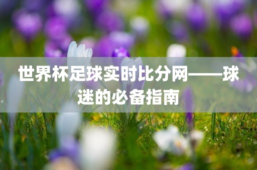 球迷必备指南