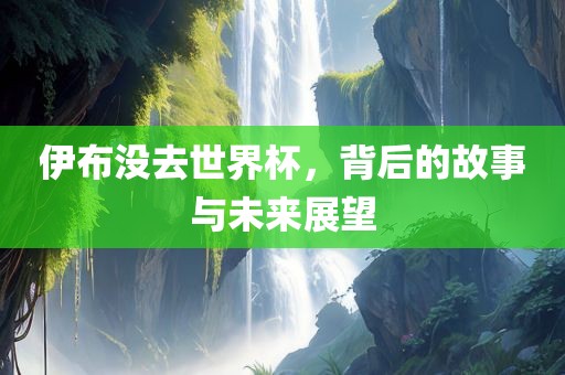 伊布没去世界杯，背后的故事与未来展望