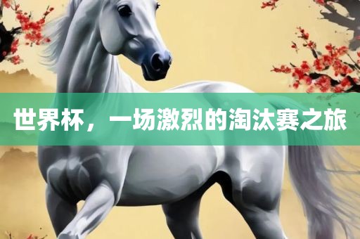 世界杯，一场激烈的淘汰赛之旅