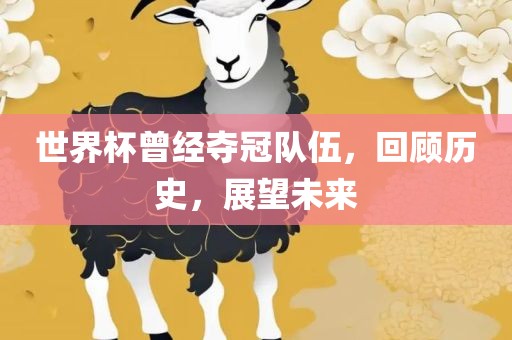 世界杯曾经夺冠队伍，回顾历史，展望未来