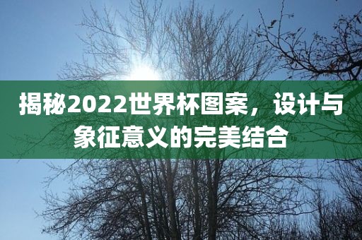 揭秘2022世界杯图案，设计与象征意义的完美结合