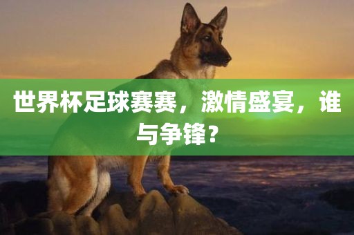 世界杯足球赛赛，激情盛宴，谁与争锋？