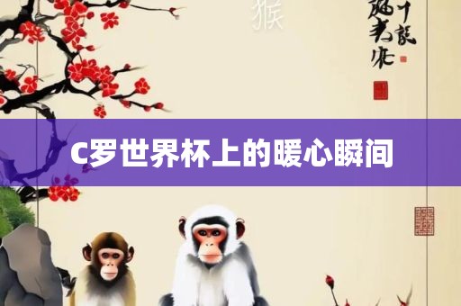 C罗世界杯上的暖心瞬间