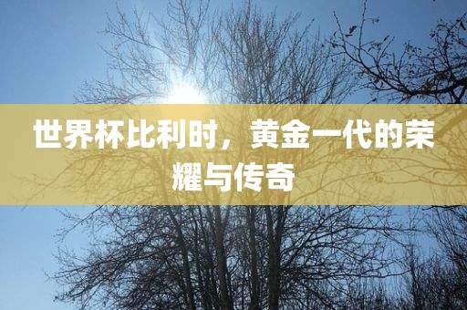 世界杯比利时，黄金一代的荣耀与传奇