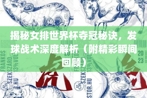 揭秘女排世界杯夺冠秘诀，发球战术深度解析（附精彩瞬间回顾）