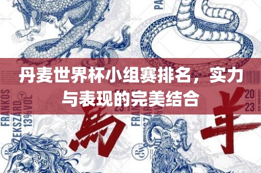 丹麦世界杯小组赛排名，实力与表现的完美结合