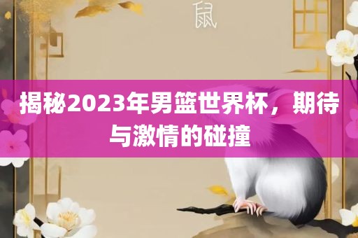 揭秘2023年男篮世界杯，期待与激情的碰撞