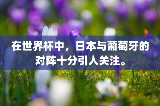 在世界杯中，日本与葡萄牙的对阵十分引人关注。
