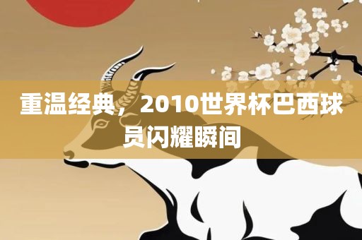 重温经典，2010世界杯巴西球员闪耀瞬间
