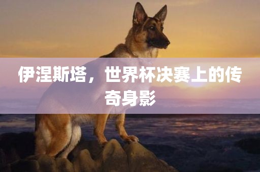 伊涅斯塔，世界杯决赛上的传奇身影