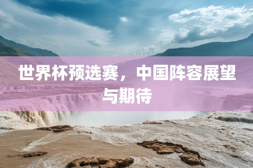 世界杯预选赛，中国阵容展望与期待