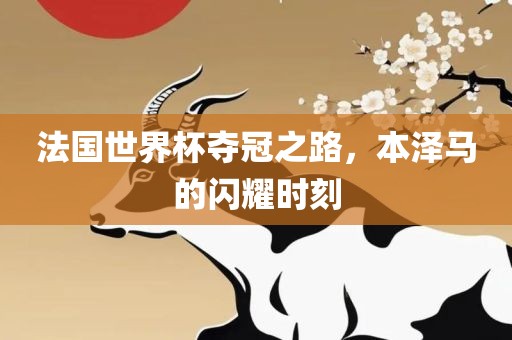 法国世界杯夺冠之路，本泽马的闪耀时刻