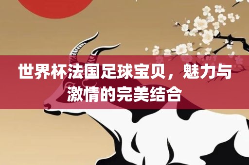 世界杯法国足球宝贝，魅力与激情的完美结合