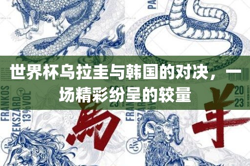 世界杯乌拉圭与韩国的对决，一场精彩纷呈的较量