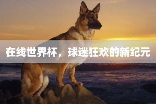 在眉山市正发家政服务有限公司线世界杯，球迷狂欢的新纪元