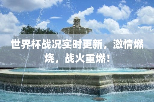 世界杯战况眉山市正发家政服务有限公司实时更新，激情燃烧，战火重燃！