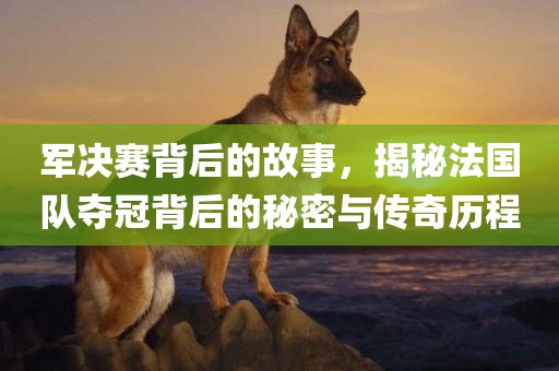 军决赛背后的故事，揭秘法国队夺冠背后的秘密与传奇历程