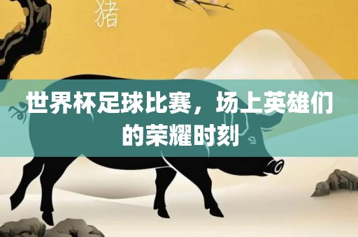 世界杯足球比赛，场上英雄们的荣耀时刻
