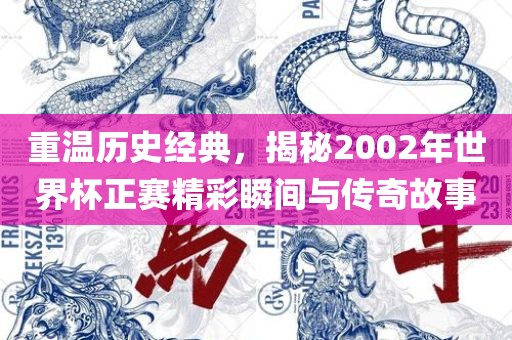 重温历史经典，揭秘2002年世界杯正赛精彩瞬间与传奇故事