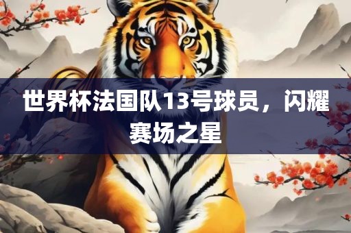 世界杯法国队13号球员，闪耀赛场之星
