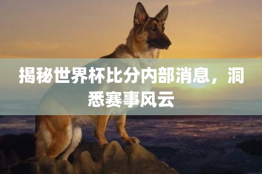 揭秘世界杯比分内部消息，洞悉赛事风云