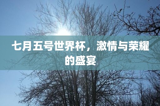 七月五号世界杯，激情与荣耀的盛宴