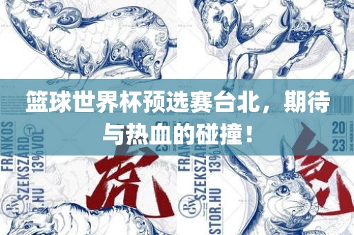 篮球世界杯预选赛台北，期待与热血的碰撞！