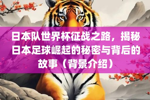 日本队世界杯征战之路，揭秘日本足球崛起的秘密与背后的故事（背景介绍）