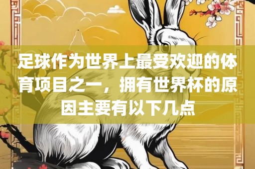 足球作为世界上最受欢迎的体育项目之一，拥有世界杯的原因主要有以下几点