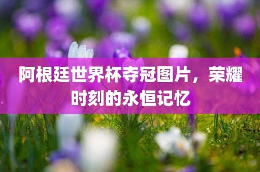 阿根廷世界杯夺冠图片，荣耀时刻的永恒记忆