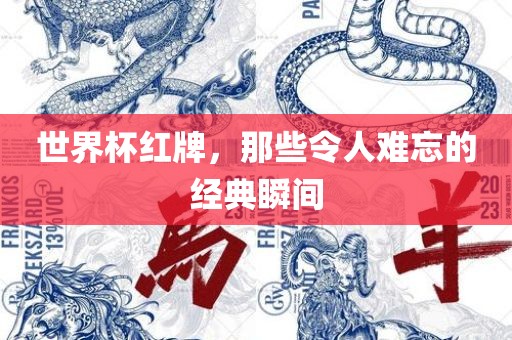 世界杯红牌，那些令人难忘的经典瞬间眉山市正发家政服务有限公司