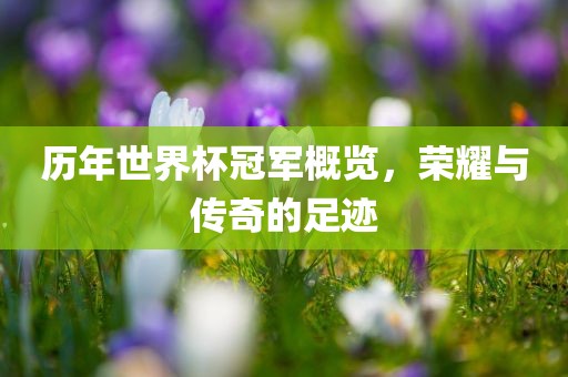 历年世界杯冠军概览，荣耀与传奇的足迹