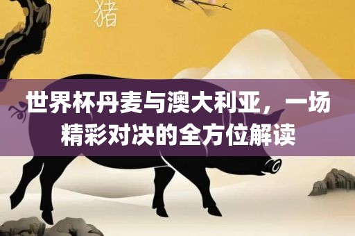 世界杯丹麦与澳大利亚，一场精彩对决的全方位解读