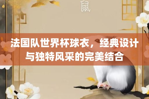 法国队世界杯球衣，经典设计与独特风采的完美结合